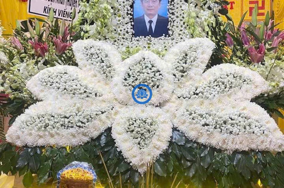 Cốt hoa sen cắm hoa